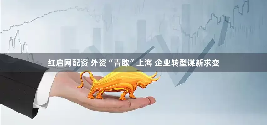 红启网配资 外资“青睐”上海 企业转型谋新求变