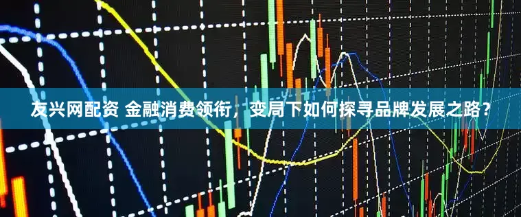 友兴网配资 金融消费领衔，变局下如何探寻品牌发展之路？