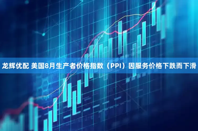 龙辉优配 美国8月生产者价格指数（PPI）因服务价格下跌而下滑