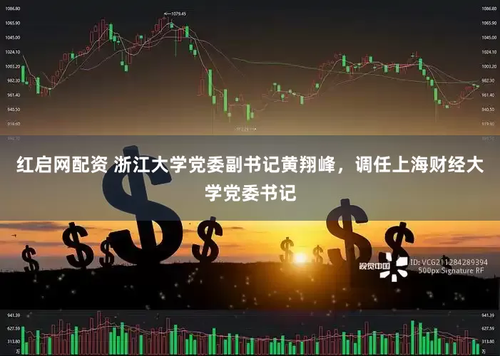 红启网配资 浙江大学党委副书记黄翔峰，调任上海财经大学党委书记